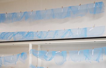 25 small rectangles of blue net material hung side over white line over three rows. Each is held in place by a small wooden clip and labelled with a small rectangle of white paper.